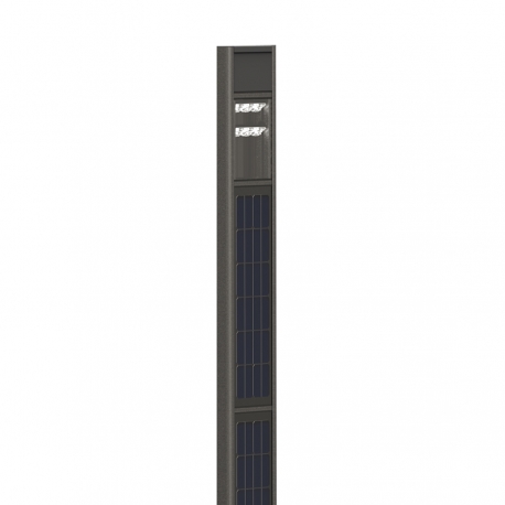 Totem